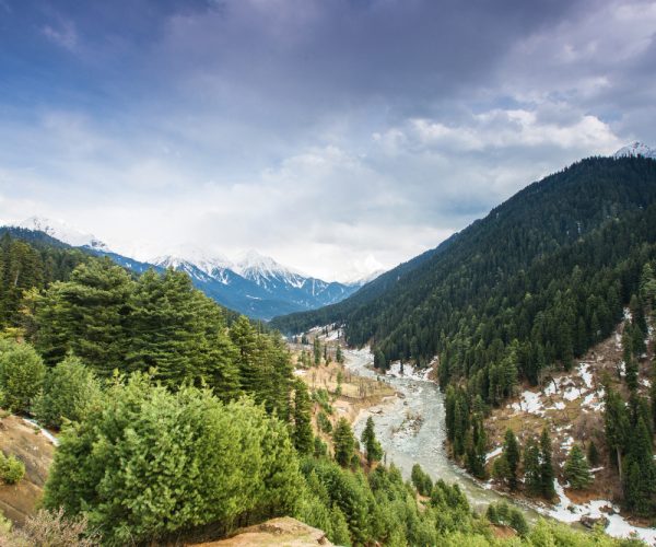 Kashmir (4 Nights 5 Days) Holiday Package