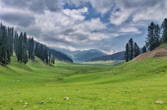 Dekho Kashmir 5 Nights 6 Days Holiday Package